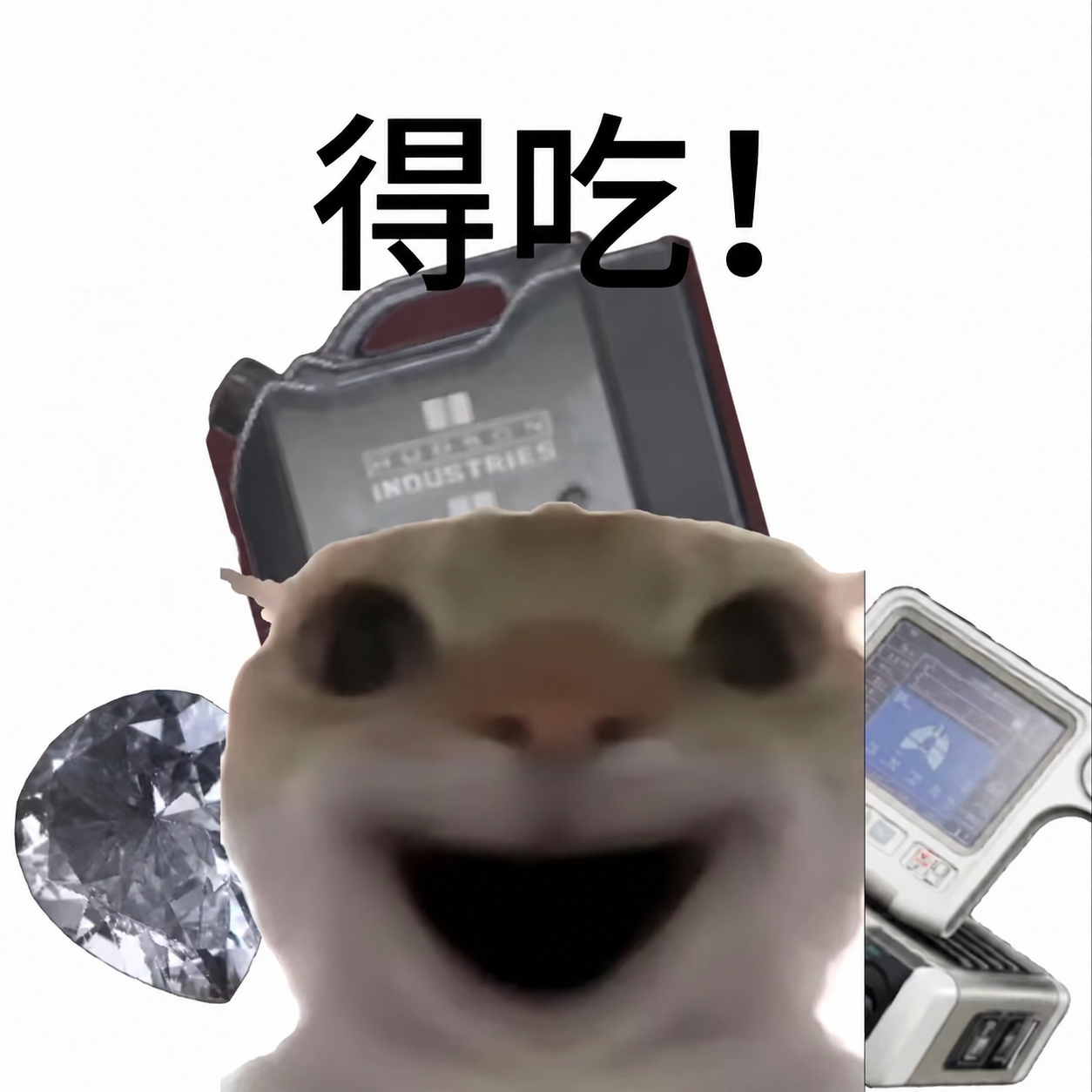 A laughing animal meme with the original Chinese caption, meaning Gotcha!